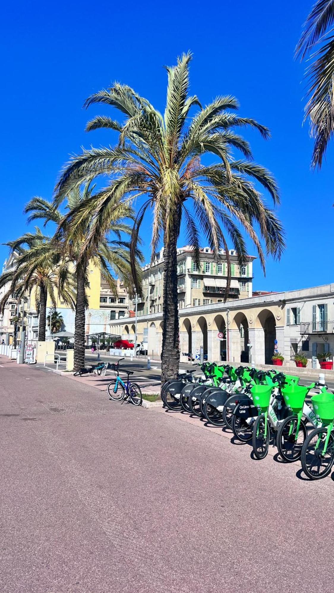Ferienwohnung Le Val d'Azur Nizza Exterior foto